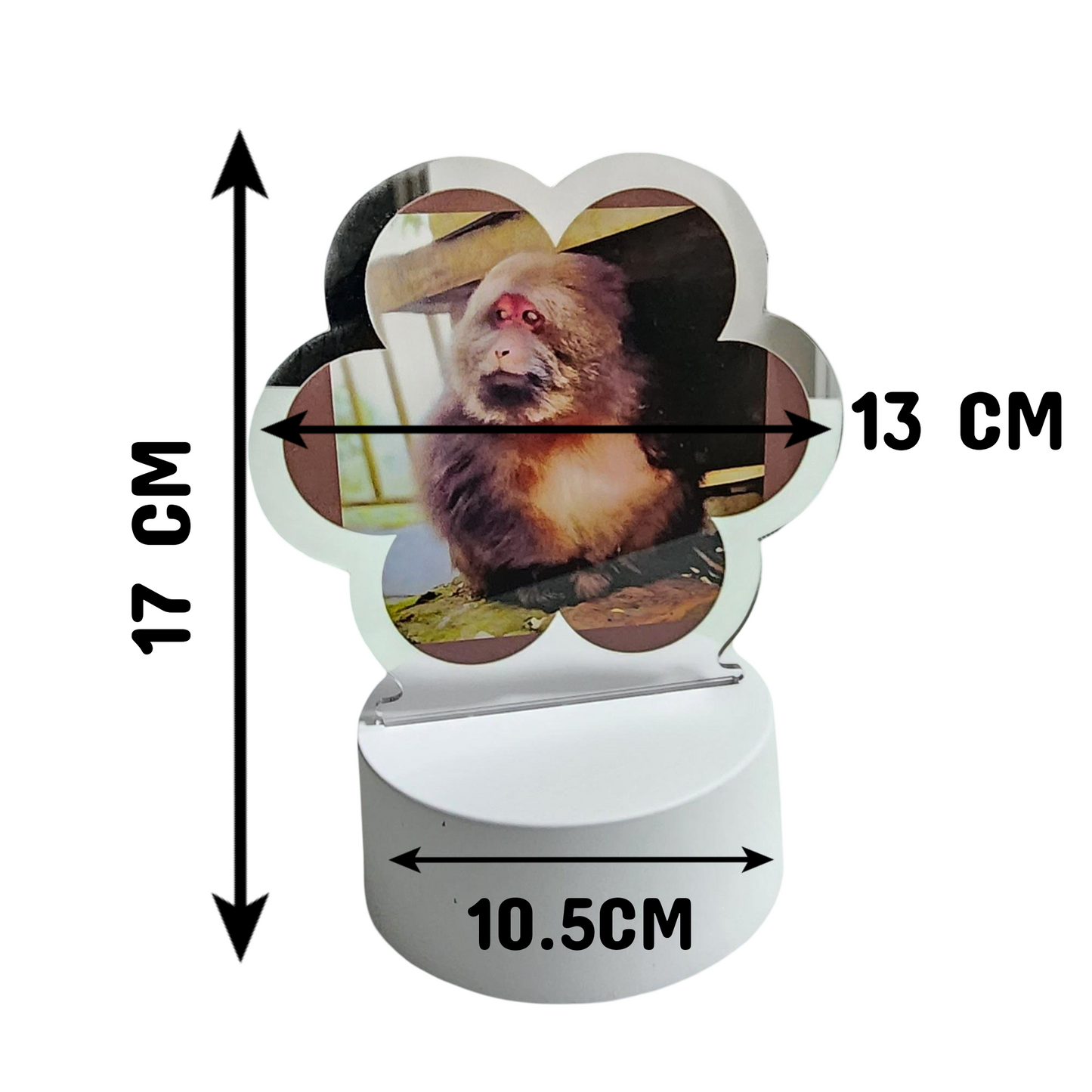 XingXing Natural Light