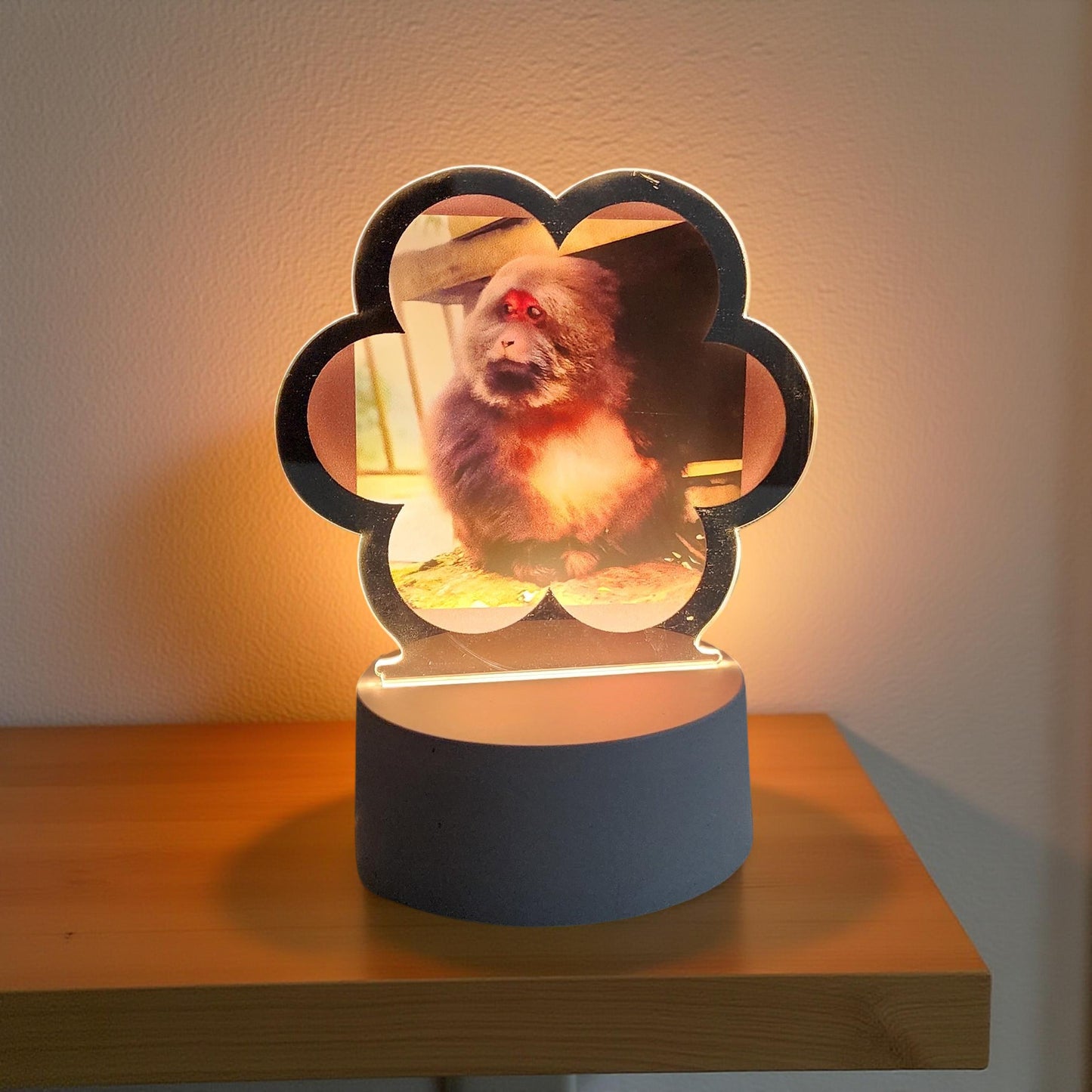 XingXing Natural Light