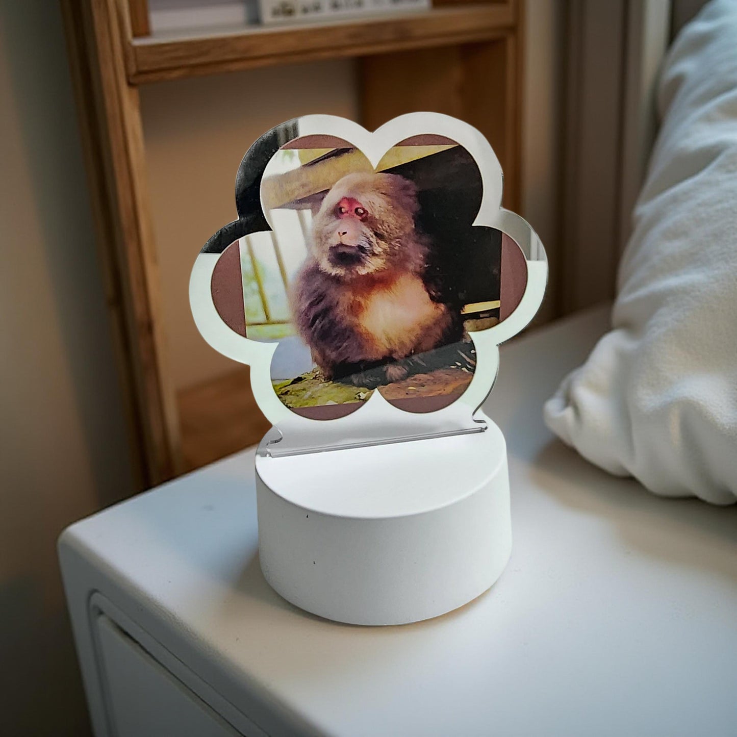 XingXing Natural Light